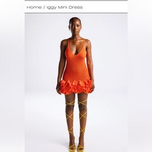 Hanifa Crochet dress Brand New with tags